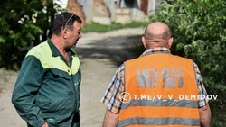 В Белгороде отловят стаю собак после инцидента с ребёнком 