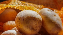 Российские производители предложили сетям продавать картофель «экономкласса»