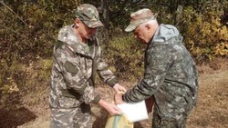 Белгородские лесники собрали 7,5 тонны семян дуба черешчатого