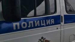 Полиция пресекла незаконное выращивание конопли в Белгороде 