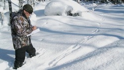 Зимний учёт диких животных стартует в Белгородской области 15 января