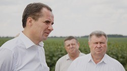 Губернатор Вячеслав Гладков: «В этом году в Белгородской области ожидаем повышенный урожай»