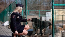 Белгородские полицейские навестили приют для животных 