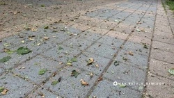 Материал