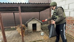 Вячеслав Гладков рассказал краснояружцам о способах оставить заявку на кормление животных 