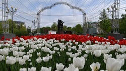 Конкурс молодых художников «Белгородская палитра» стартовал в регионе