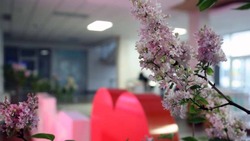 Белгородский госуниверситет встретил День студента цветущей сиренью