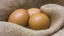 Российские производители мяса птицы и яиц договорились о сдерживании цен