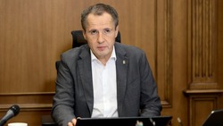 Вячеслав Гладков проведёт большую прямую линию 29 апреля