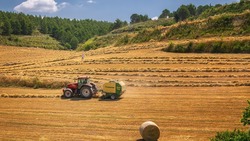 Первая сельскохозяйственная микроперепись в Белгородской области стартовала 1 августа