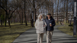 Страховые пенсии неработающих пенсионеров к 2026 году могут вырасти до 25 590 рублей