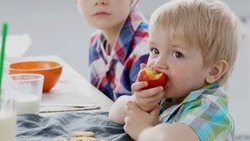 Соцфонд РФ напомнил белгородским родителям о ежемесячной денежной компенсации на питание детей 