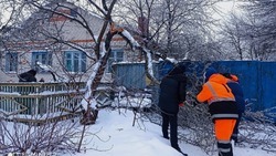Вячеслав Гладков проинформировал о последствиях непогоды в Белгородской области