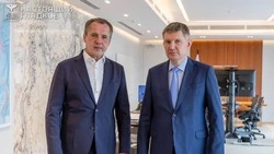 Вячеслав Гладков принял участие в совещании под руководством главы Минэка РФ