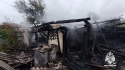 Дачный дом и баня сгорели в селе Шопино Яковлевского округа 