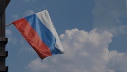 Белгородцы смогут обсудить с экспертами актуальные вопросы в сфере патриотизма