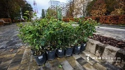 Материал