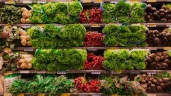 Токсиколог рассказал россиянам о самых небезопасных овощах