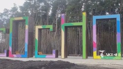 Арт-объект «Сосновка» в Белгороде подключат к сетям электроснабжения