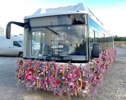 Цветочный автобус будет курсировать в Белгороде по 17 маршруту в рамках фестиваля «Белгород в цвету»