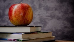 14 белгородских педагогов получат в 2023 году субсидии в рамках программы «Земский учитель»