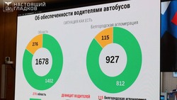 276 водителей общественного транспорта не хватает в Белгородской области