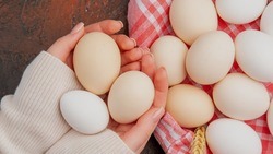 Минсельхоз анонсировал поставки в Россию яиц из Турции и Азербайджана