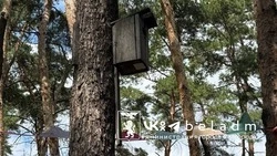 Старые скворечники уберут в Белгороде в парке Ленина