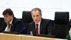 Вячеслав Гладков: «Объём господдержки белгородских аграриев составит не менее 13,4 млрд рублей»