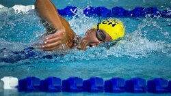 Яковлевские спортсмены показали отличные результаты на областном чемпионате по плаванию