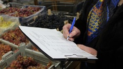 Специалисты ежедневно мониторят цены на продукты в Белгородской области
