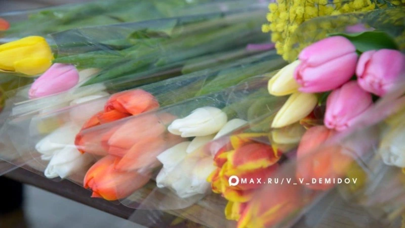 Цветочные ярмарки откроются в Белгороде к 8 Марта