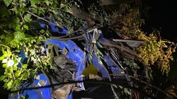 48-летний водитель КамАЗа съехал в кювет и врезался в дерево в Яковлевском округе