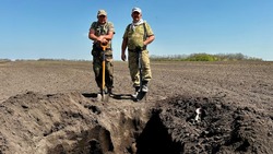 Поисковики нашли останки двух красноармейцев в Прохоровском районе