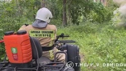 Спасатели на квадроциклах начали патрулировать Сосновку в Белгороде 
