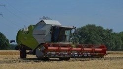 Белгородским аграриям предстоит убрать почти 640 тысяч гектаров зерновых и зернобобовых культур 