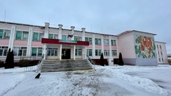 Полиция проводит доследственную проверку по ситуации в Терновской школе