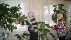 Супруги Нитаевы из посёлка Томаровка прожили в браке 57 лет