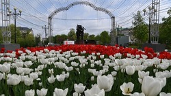 ️Стоянку в центре Белгорода ограничат с 30 апреля по 1 мая 
