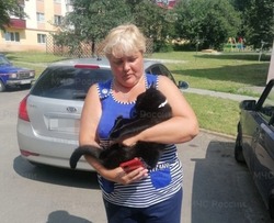 Яковлевские спасатели помогли коту вернуться домой к хозяйке