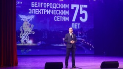 Белгородские электрические сети отметили 75-летний юбилей