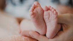 Белгородцы зарегистрировали более 4 тысяч младенцев онлайн