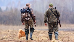 Губернатор утвердил лимит по добыче косуль и оленя в сезон охоты