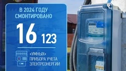 «Россети Центр» установили свыше 16 тысяч умных счётчиков в Белгородской области