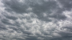 Два мирных жителя пострадали от атаки дрона-камикадзе ВСУ в Белгородском районе 