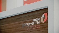 Белгородцы смогут подать заявление в суд через МФЦ