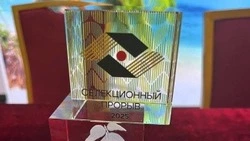 Материал