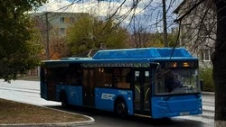 Белгородцев предупредили об изменении расписания автобусов 8 и 9 мая