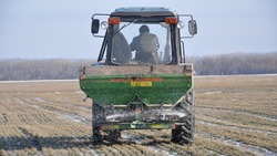 Яковлевские аграрии приступили к подкормке озимых культур
