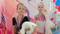 Яковлевские спортсменки завоевали 11 медалей на первенстве по художественной гимнастике 